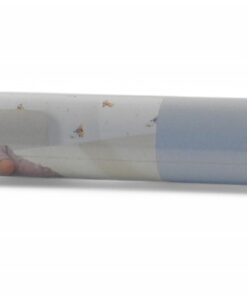 Alternative view of Papier behang 1164-5 Disney