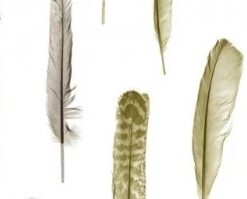 Alternative view of Vlies behang 889613 Wallcoverings